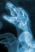 Load image into Gallery viewer, The Thing (X-Ray Editioin) by Jason Raish 6/300 24x36 Screen Print Movie Poster