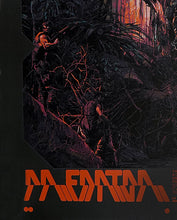 Load image into Gallery viewer, Predator by Krzysztof Domaradzki