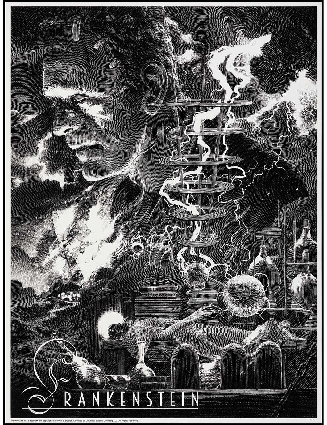 Frankenstein by Nicolas Delort 181/295 Screen Print Movie Art Poster