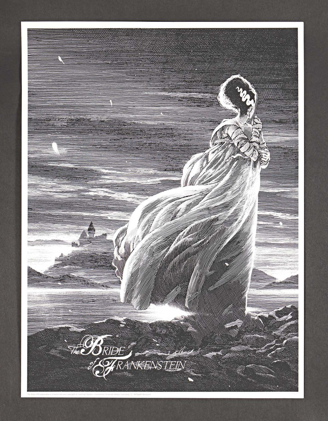 TheBride of Frankenstein by Nicolas Delort 287/295 Screen Print Movie Art Poster